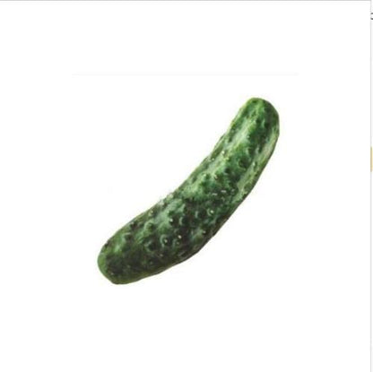 Interactive Catnip-Infused Realistic Food Pet Toys for Active Play-Pet Toys-Cucumber-5-Colydia