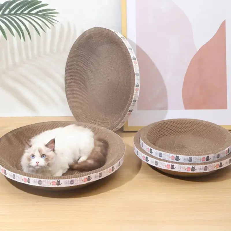 Multifunctional Cardboard Cat Basket & Scratching Post Combo-Cat Bed and Scratching Post Combo-2-Colydia