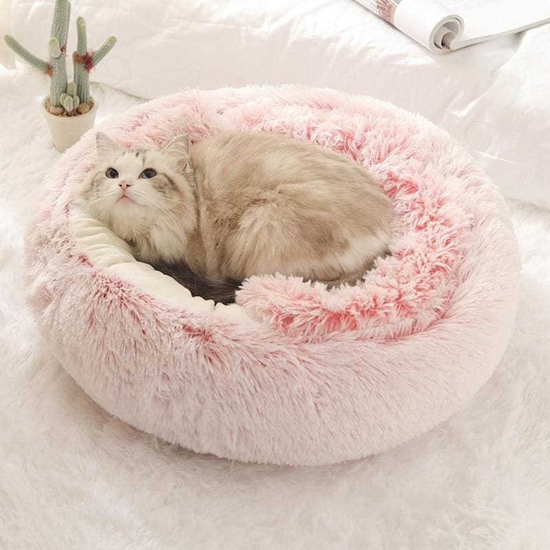 Cozy Covered Cat Bed with Foam Base & Velvet Exterior for Safety-Covered Cat Bed-5-Colydia