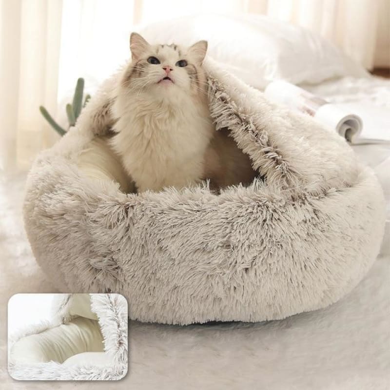 Cozy Covered Cat Bed with Foam Base & Velvet Exterior for Safety-Covered Cat Bed-Coffee-M (40cm/5kg)-2-Colydia