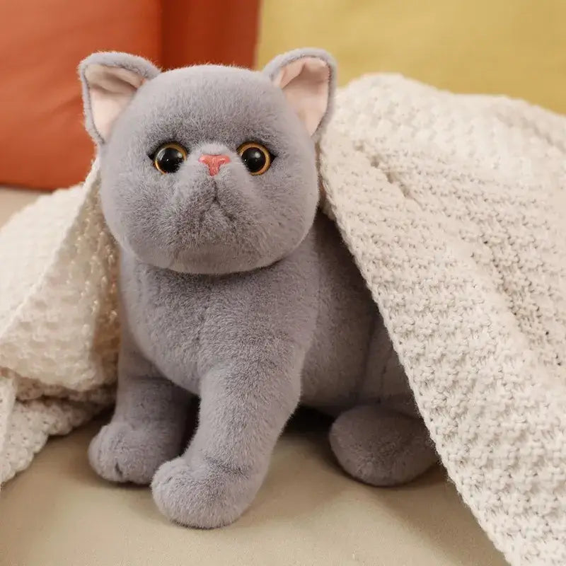 Adorable Gray Kitten Plush Toy - Soft, Realistic, 26 cm Cuddle Buddy-Plush Toy-2-Colydia