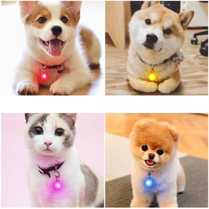 Waterproof LED Pendant for Cats - Anti-Loss, Battery Included-Cat Safety LED Pendant-2-Colydia