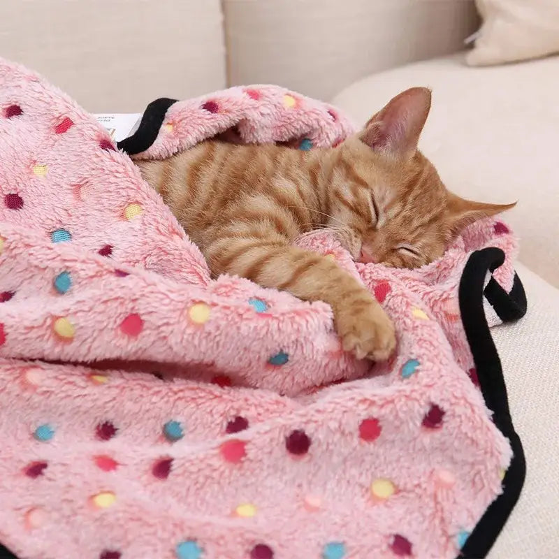 Cozy Soft Kitten Blanket | Large Fleece Throw with Polka Dots-Pet Blanket-3-Colydia