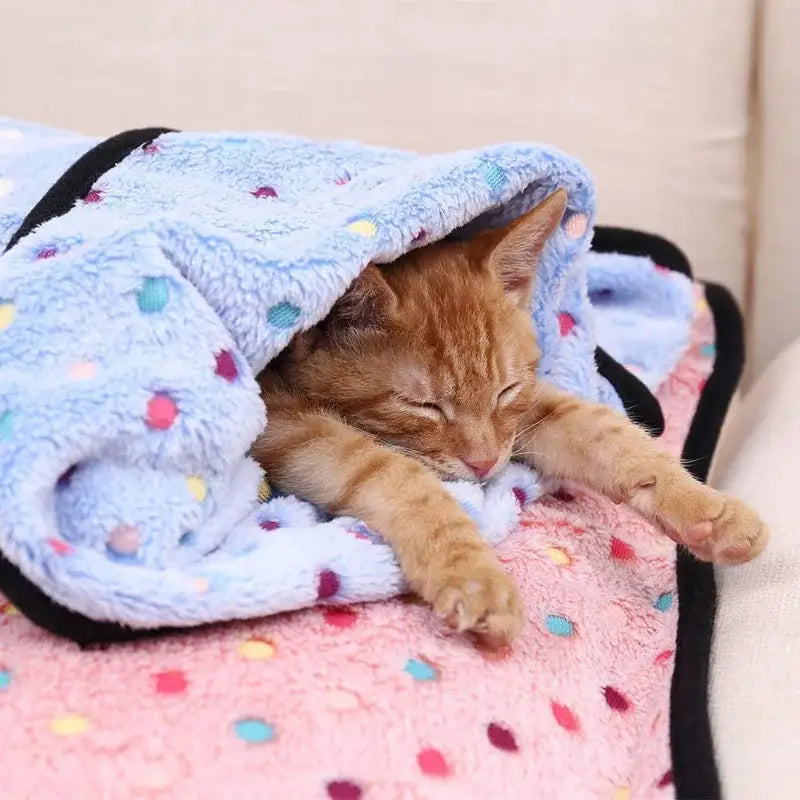 Cozy Soft Kitten Blanket | Large Fleece Throw with Polka Dots-Pet Blanket-2-Colydia