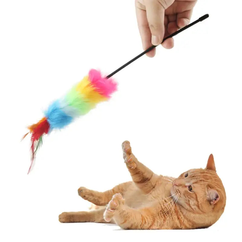 Interactive Multicolored Cat Feather Wand Set of 5 for Playtime-Cat Toys-5 feather wands-1-Colydia