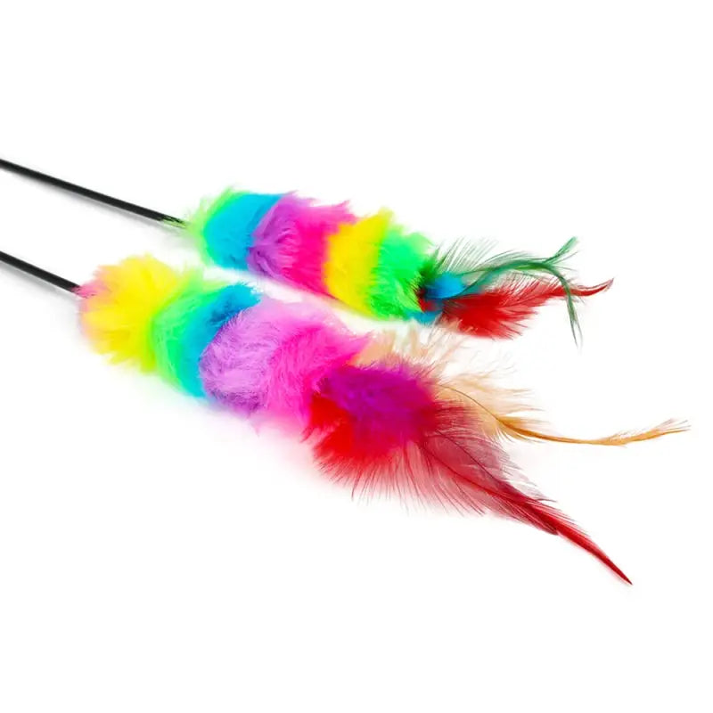 Interactive Multicolored Cat Feather Wand Set of 5 for Playtime-Cat Toys-5 feather wands-4-Colydia