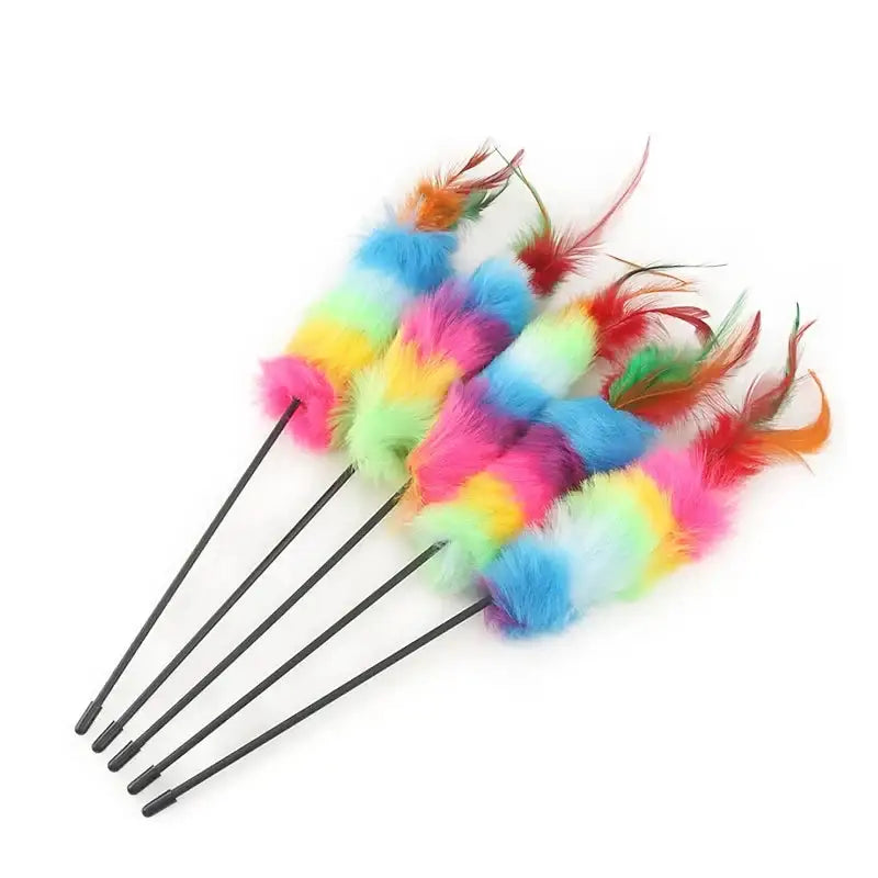 Interactive Multicolored Cat Feather Wand Set of 5 for Playtime-Cat Toys-5 feather wands-2-Colydia