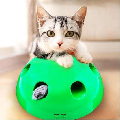 Interactive Cat Toy with 360° Dome, Peek-a-Boo Play & Auto Shut Off-Interactive Cat Toy-1-Colydia