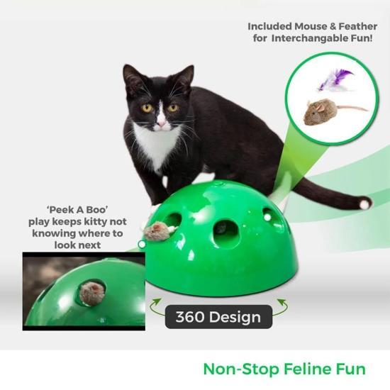 Interactive Cat Toy with 360° Dome, Peek-a-Boo Play & Auto Shut Off-Interactive Cat Toy-2-Colydia