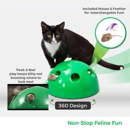 Interactive Cat Toy with 360° Dome, Peek-a-Boo Play & Auto Shut Off-Interactive Cat Toy-2-Colydia