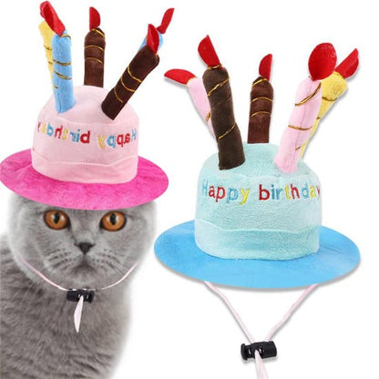 Funny Pet Birthday Hat - Stylish Blue & Pink Options with Pom-Pom-Pet Birthday Hat-4-Colydia