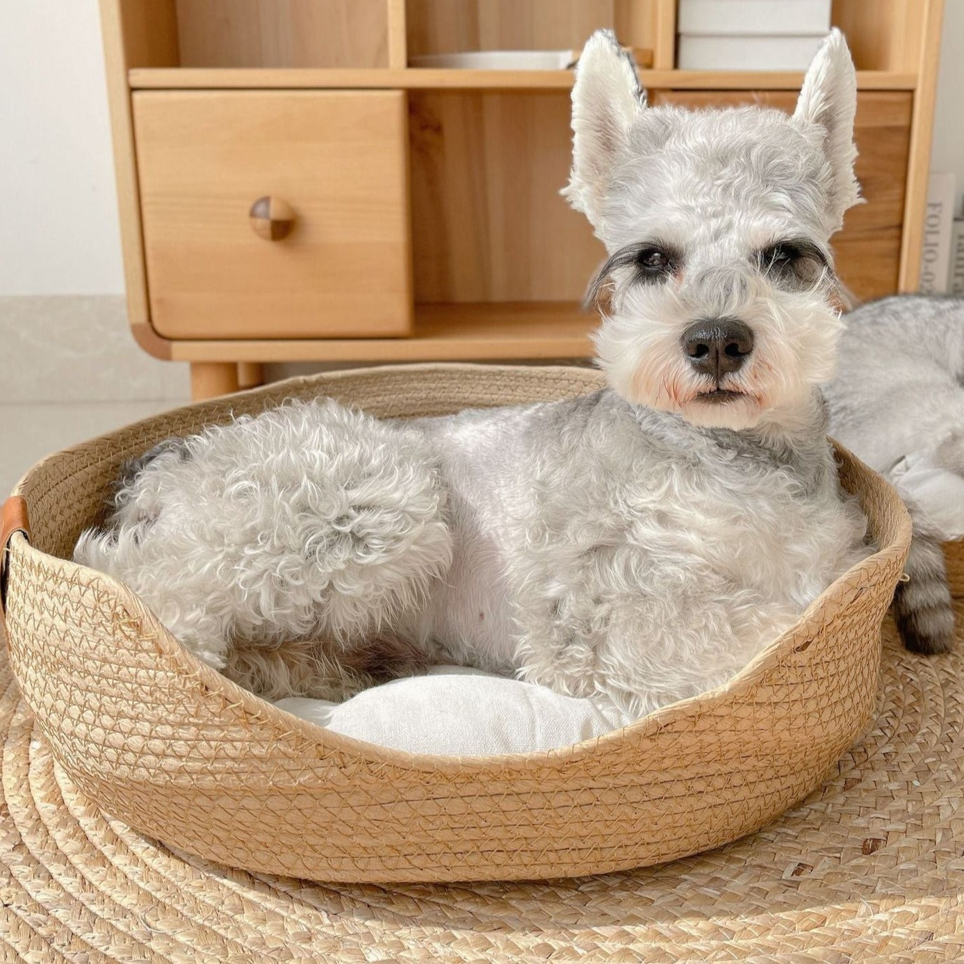 Natural Handwoven Pet Bed with Washable Cushion for All Seasons-Pet Bed-4-Colydia