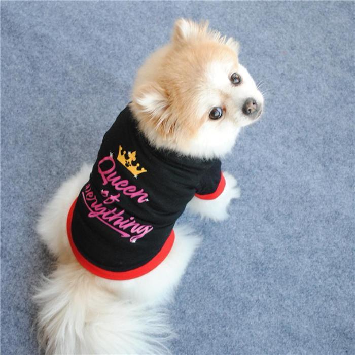 Elevate Her Style with the Chic Sassy Queen of Everything Pet Tee-Pet Apparel-2-Colydia