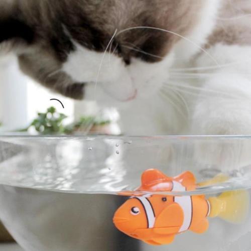 Interactive Battery-Powered Waterproof Fish Toy for Cats-Interactive Cat Toy-1-Colydia