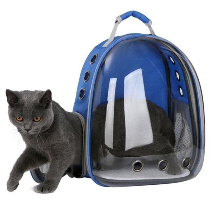 Transparent Cat Backpack with Ventilation & Petting Access-Pet Carrier Backpack-4-Colydia