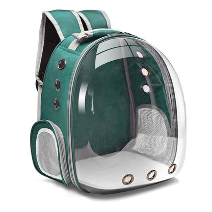 Transparent Cat Backpack with Ventilation & Petting Access-Pet Carrier Backpack-Green-3-Colydia