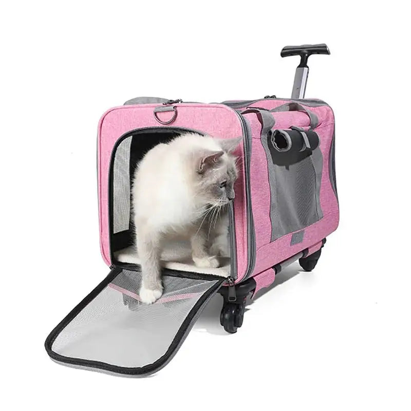 Airline-Approved Rolling Cat Carrier with 360° Wheels & Storage-Rolling Cat Carrier-1-Colydia