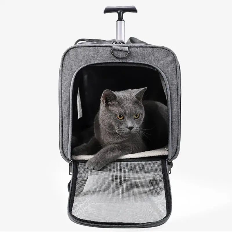 Airline-Approved Rolling Cat Carrier with 360° Wheels & Storage-Rolling Cat Carrier-5-Colydia