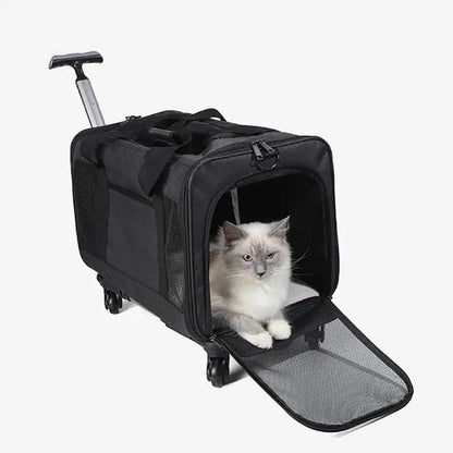 Airline-Approved Rolling Cat Carrier with 360° Wheels & Storage-Rolling Cat Carrier-4-Colydia