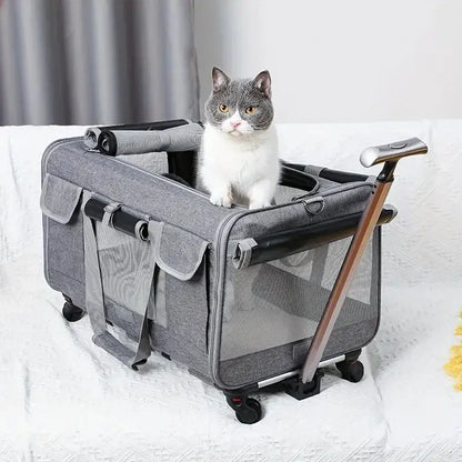 Airline-Approved Rolling Cat Carrier with 360° Wheels & Storage-Rolling Cat Carrier-2-Colydia