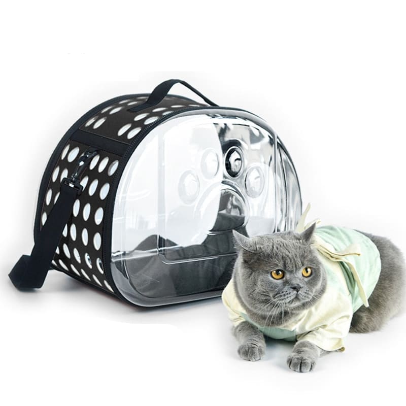 Transparent 360° Cat Carrier with Ventilation and Scratch Resistance-Cat Carrier-2-Colydia