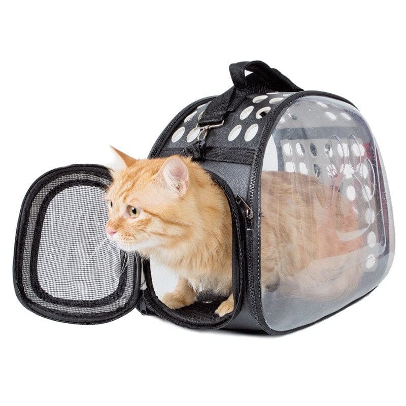 Transparent 360° Cat Carrier with Ventilation and Scratch Resistance-Cat Carrier-3-Colydia