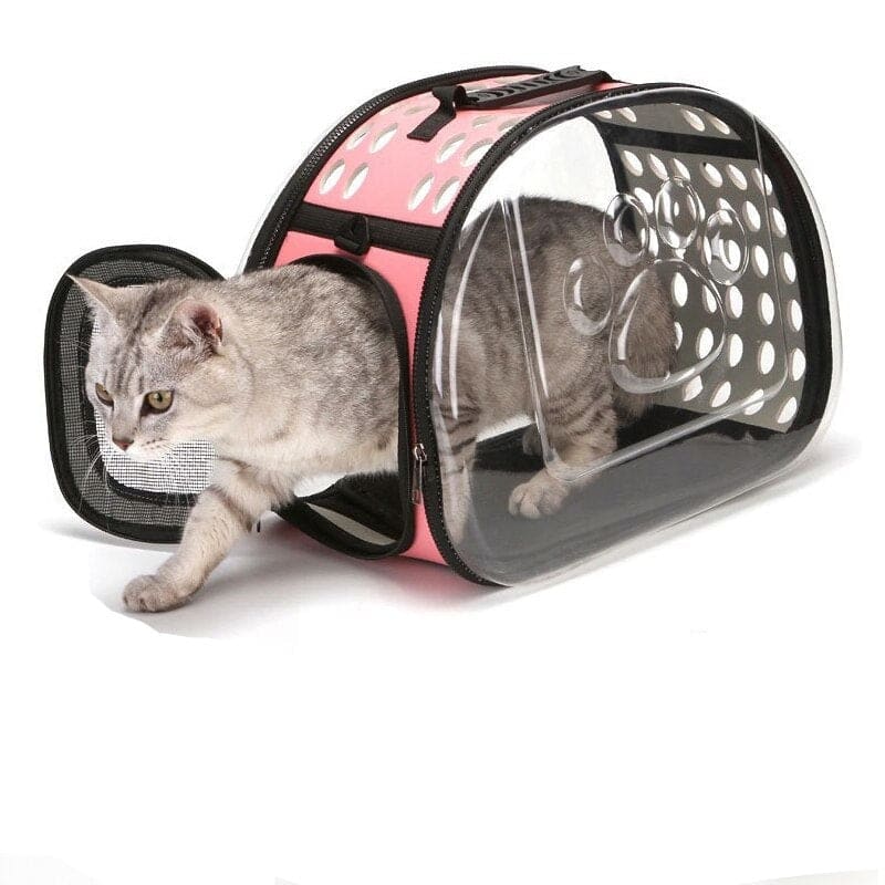 Transparent 360° Cat Carrier with Ventilation and Scratch Resistance-Cat Carrier-4-Colydia