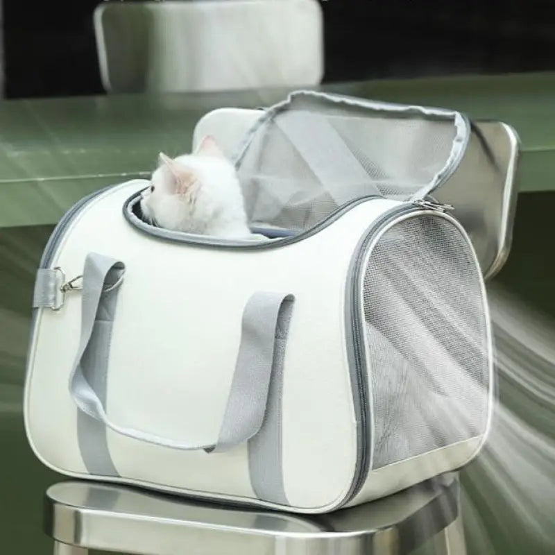 Spacious Kitten Carrier Bag with Padded Handle and Durable Design-Pet Carrier Bag-5-Colydia