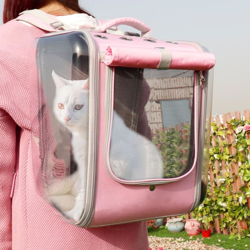 Transparent Capsule Cat Backpack - Stylish, Lightweight & Portable-Pet Carrier Backpack-1-Colydia