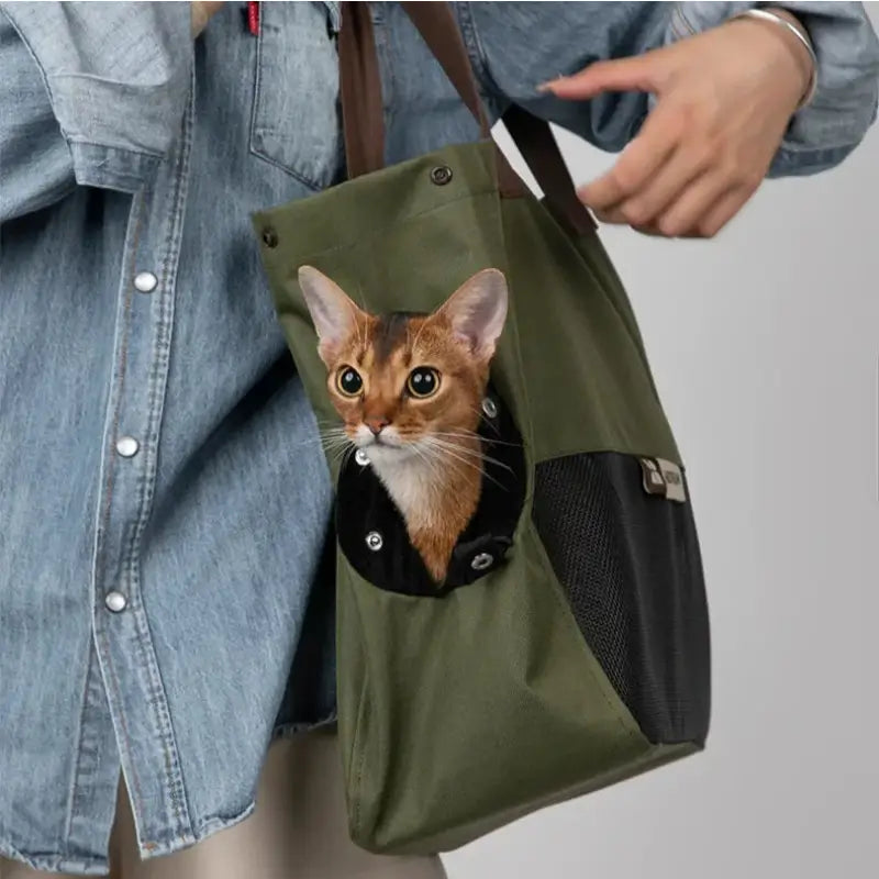 Comfortable Oxford Fabric Cat Carrier Bag with Secure Mesh Ventilation-Cat Carrier Bag-2-Colydia