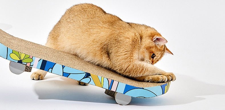 Skateboard Cat Scratcher for Fun & Stylish Feline Entertainment-Cat Scratcher-5-Colydia