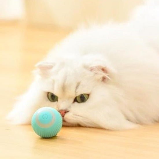 Interactive Smart Ball Cat Toy - Automatic Obstacle Avoidance Fun-Interactive Cat Toy-8-Colydia