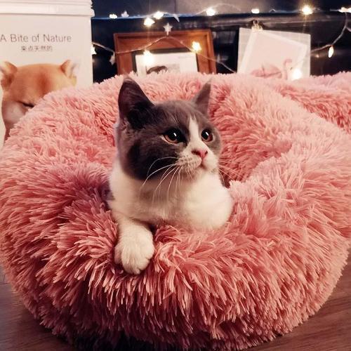 Ultra-Soft Calming Pet Bed - Washable, Lightweight Relaxation-Pet Bed-pink-M-3-Colydia