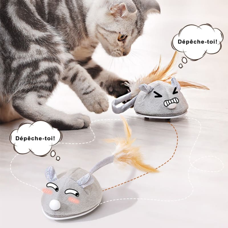 Interactive Eco-Friendly USB Rechargeable Cat Mouse Toy Feathers-Interactive Cat Toy-1-Colydia