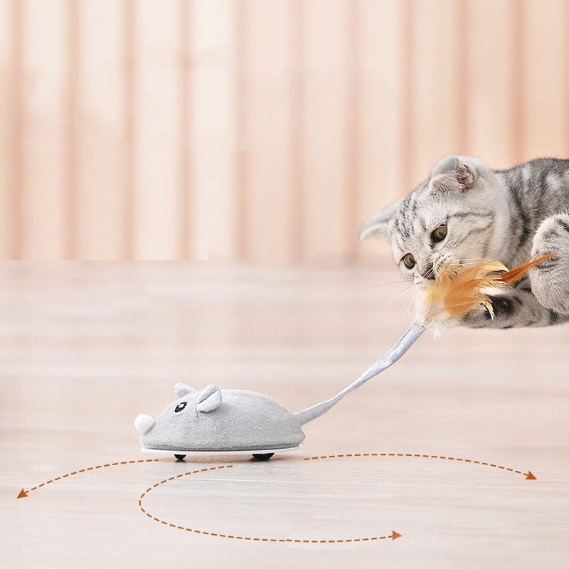 Interactive Eco-Friendly USB Rechargeable Cat Mouse Toy Feathers-Interactive Cat Toy-4-Colydia