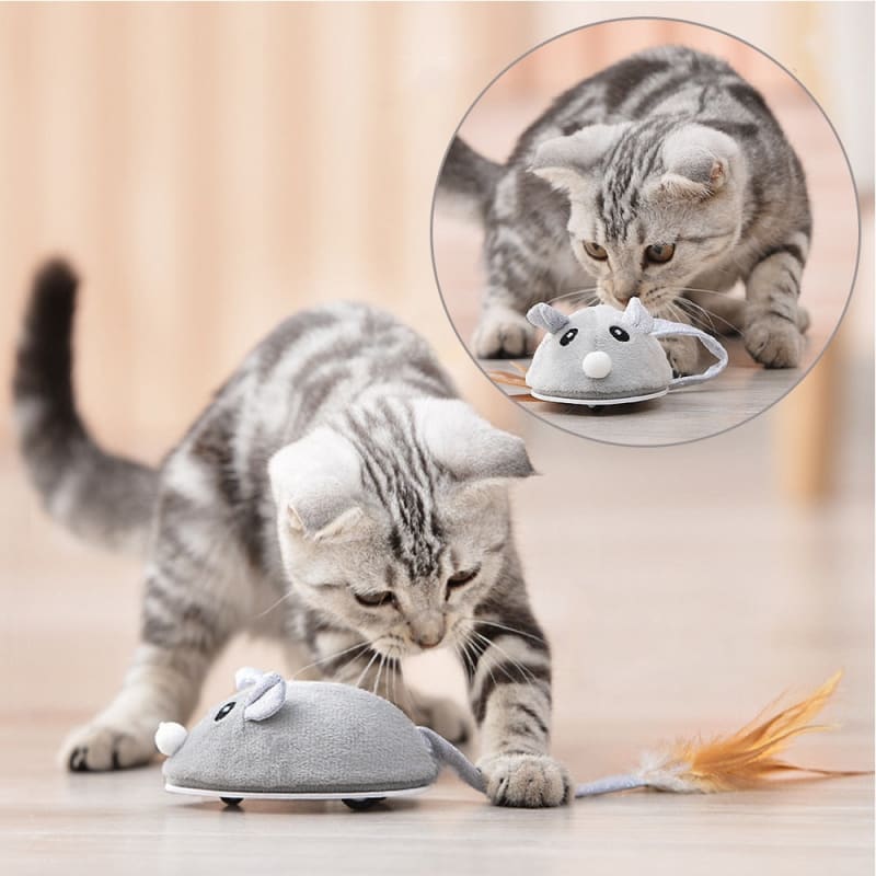 Interactive Eco-Friendly USB Rechargeable Cat Mouse Toy Feathers-Interactive Cat Toy-2-Colydia