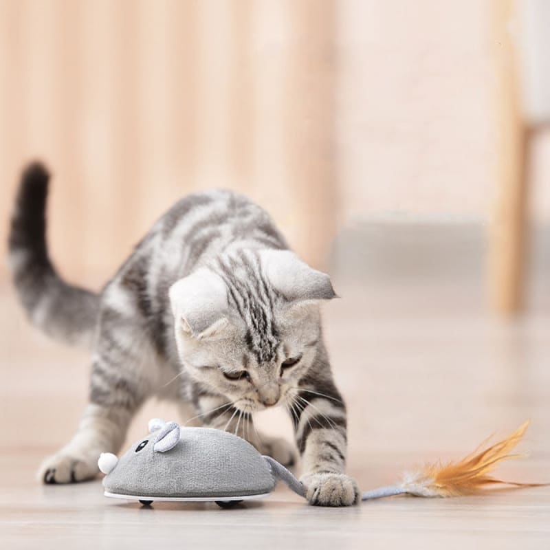 Interactive Eco-Friendly USB Rechargeable Cat Mouse Toy Feathers-Interactive Cat Toy-5-Colydia