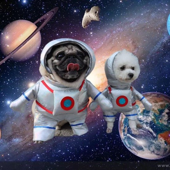 Astronaut Pet Costume for Cats & Dogs - Perfect for Halloween Fun-Pet Costume-1-Colydia