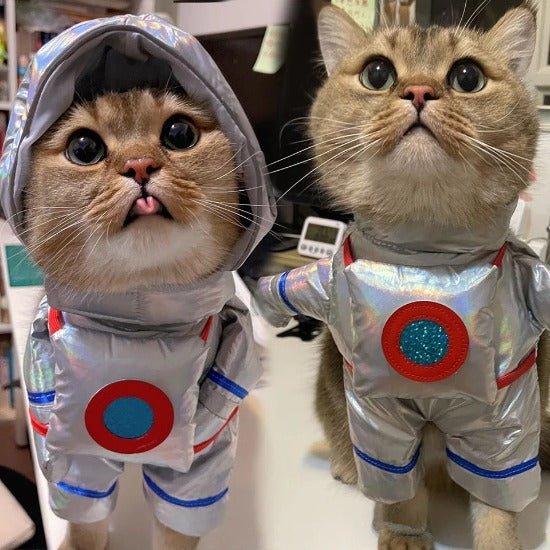 Astronaut Pet Costume for Cats & Dogs - Perfect for Halloween Fun-Pet Costume-7-Colydia