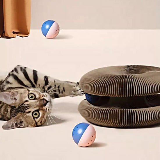 Interactive Cardboard Cat Toy with Ball for Scratch & Play Fun-Cat Toy-1-Colydia