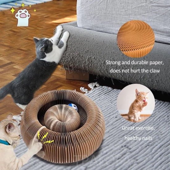 Interactive Cardboard Cat Toy with Ball for Scratch & Play Fun-Cat Toy-6-Colydia