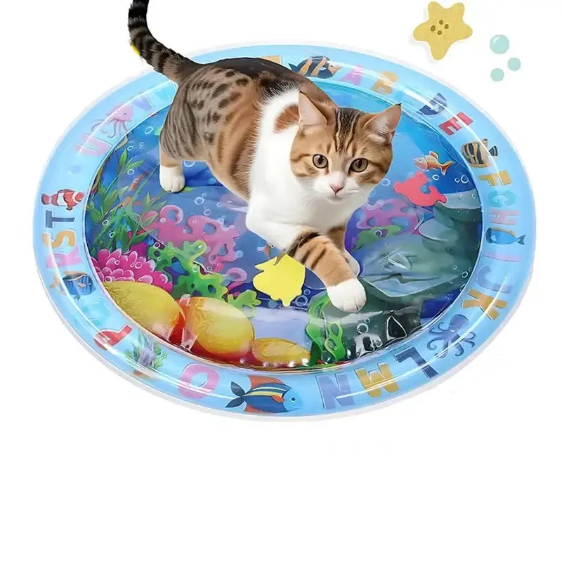 Interactive Cat Play Mat with Sensory Fish Toys | All-Season Fun-Cat Play Mat-1-Colydia