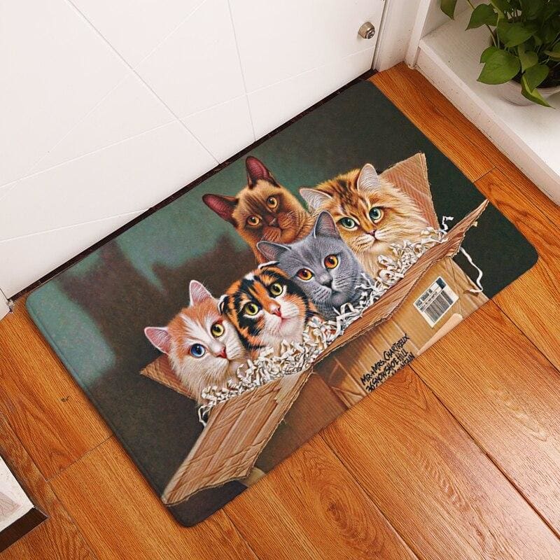 Non-Slip Cat Floor Mat for Entrances with Absorbent Sponge Lining-Cat Floor Mat-Cardboard-50cmx80cm-6-Colydia