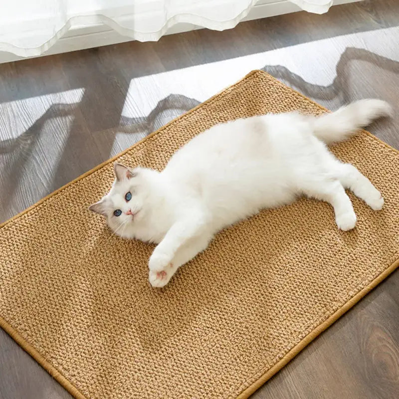 Durable Sisal Cat Scratching Mat with Non-Slip Backing, Multiple Sizes-Cat Scratching Mat-S (30 x 60 cm)-1-Colydia