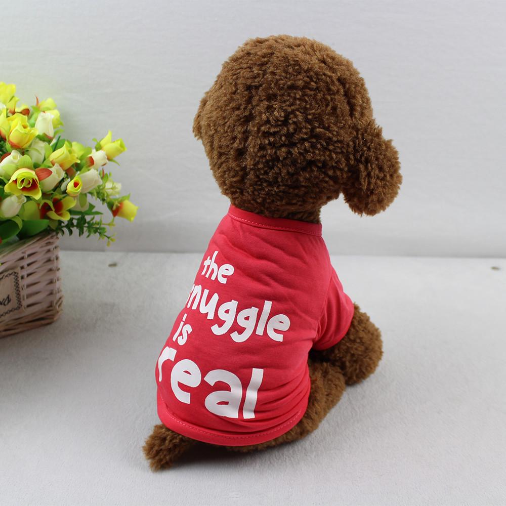 Cozy Snuggle Is Real Graphic Tee for Soft, Relaxed Comfort-Pet Comfort Bed-3-Colydia