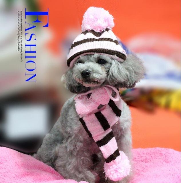 Cozy Winter Woolen Accessory Set: Hat, Scarf & Leg Warmers Bundle-Pet Winter Accessory Set-Pink-XXS-5-Colydia