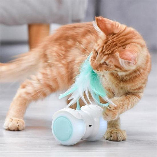 USB Rechargeable Interactive Cat Toy with Remote & LED Wheels-Interactive Cat Toy-1-Colydia