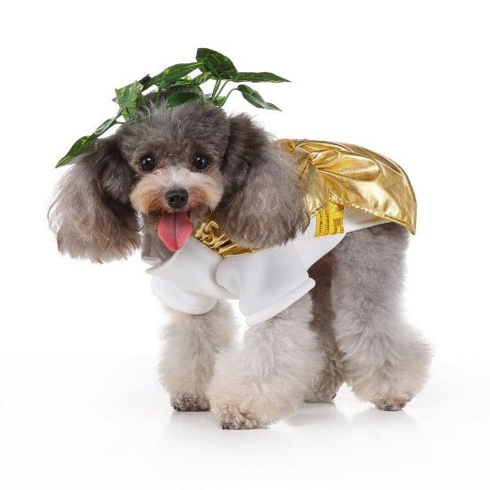 Epic Zeus Halloween Costume for Pets – Heroic and Heartfelt Design-Pet Costume-5-Colydia