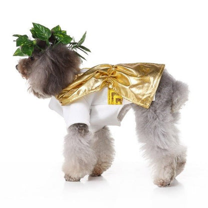 Epic Zeus Halloween Costume for Pets – Heroic and Heartfelt Design-Pet Costume-6-Colydia